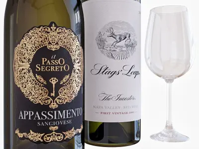 Wine bottle set 14 3D model