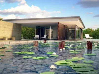 house with pond and water lilies Free 3D model
