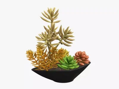 Potted plant decorative 06 3D model