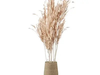 Pampas Decoration with Natural basket 3D model