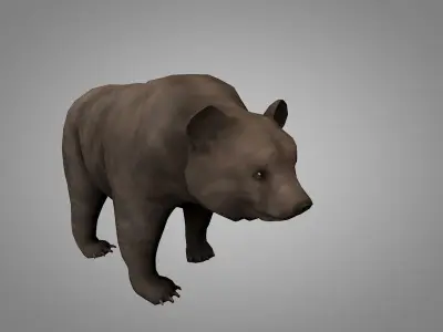 Bears pack Low-poly 3D model
