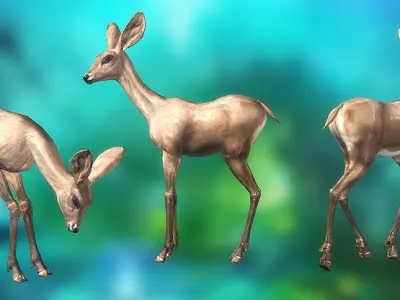 3DRT - Fawn Low-poly 3D model