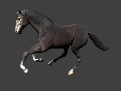 Black Stallion Realistic Running Animation Low-poly 3D model
