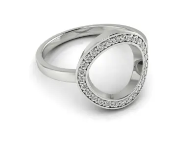 Ring 102 3D print model