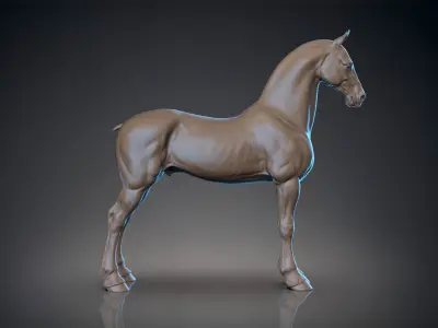 Horse Friesian - TPose 3D model