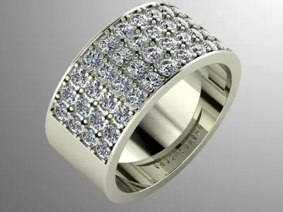 Ring bi 24 3D print model