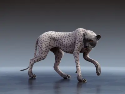 Cheetah - body with RIG including textures and shading 3D model
