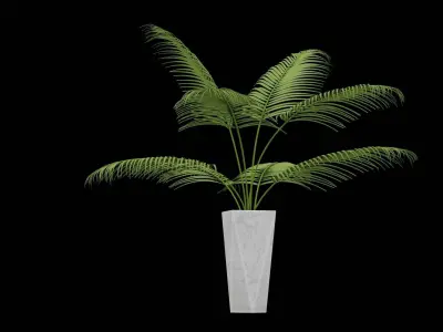 Fern Plant Decor 3D model
