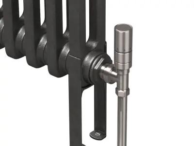 Butler and Rose 2 Column Horizontal Radiator 3D model