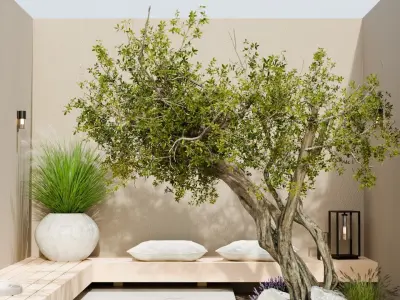 Outdoor patio exterior design Free 3D model