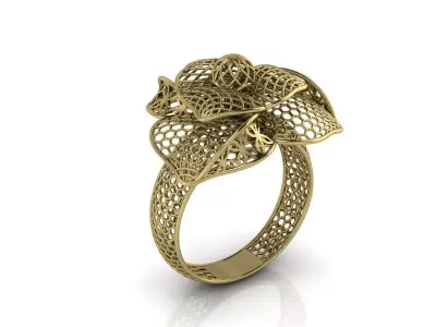 Ultra Vision Ring Jewelry 3D print model purchase