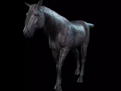 Thoroughbred Arabian Horse WILD WORLD PONY 3 Low-poly 3D model