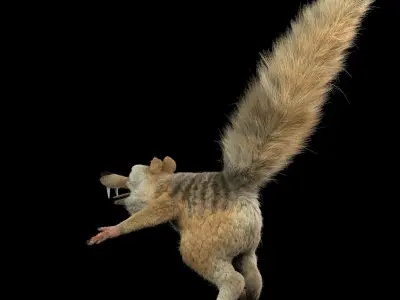 Squirrel Scrat Rigged 3D model