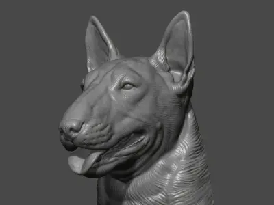 Bull Terrier head 3D print model