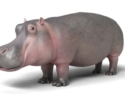 Hippopotamus Animal Rigged Low-poly 3D model