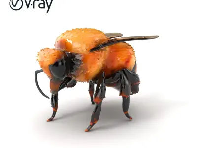 Rusty Patched Bumblebee Realistic Model Pack Low-poly 3D model