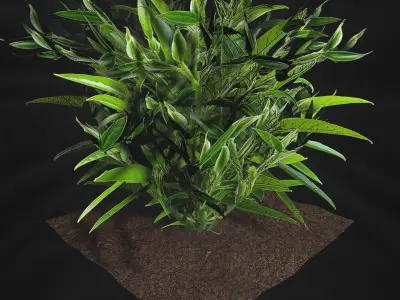 Valars Plant Pack 3D model