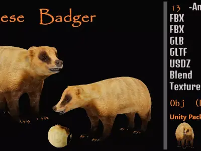 Japanese Badger Low-poly 3D model