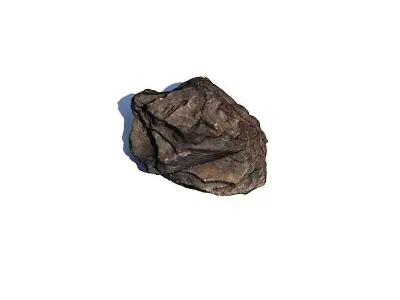 Bark Chip 3D Scan Free 3D model