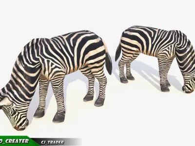 Lowpoly Zebra Animated 3D model Low-poly 3D model