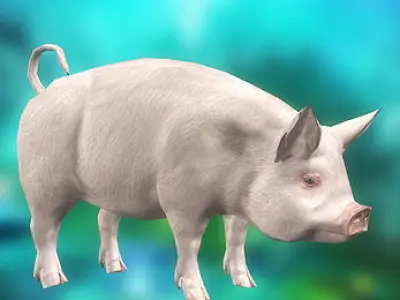 3DRT - Pig  Low-poly 3D model
