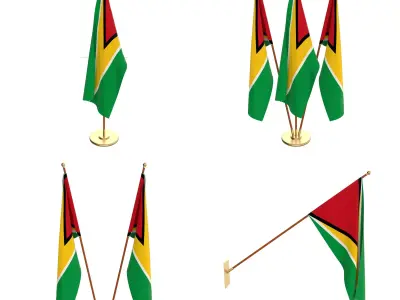 Guyana Flag Pack 3D model