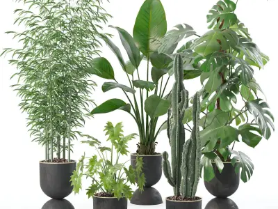 20 Photorealistic Flowers for Interiors - set 121 128 134 141 3D Model Collection