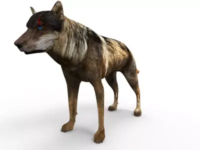 Fox rigged 3D Models low poly model Low-poly 3D model