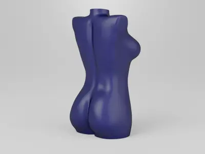 Female torso 1 3D print model
