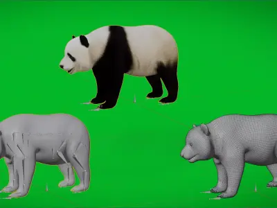 Giant Panda Bear Low-poly 3D model