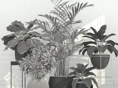 Plants collection 54 3D model