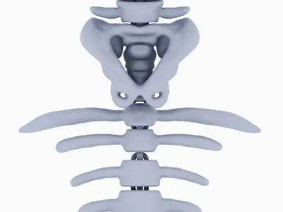 HALLOWEEN MERMAID SKELETON 3D print model