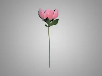 Peony 3D model
