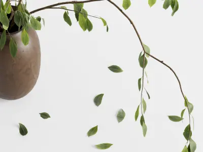 Plant in vase - Morus branch 3D model