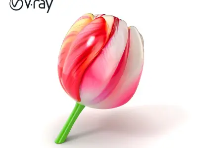 Parrot Tulip Flower Wavy Petals model pack Low-poly 3D model
