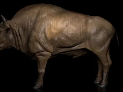 Bison Low-poly 3D model purchase