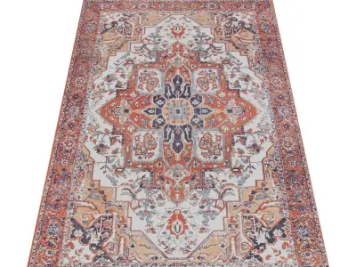 Rug Set 1592 3D model