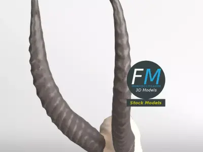 Stylized animal horns 3D model