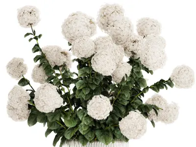 Festive Bouquet Glass Vase With White Hydrangea 581 3D model
