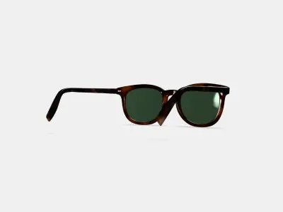 Ryland Sunglasses in Cognac Tortoise 3D model