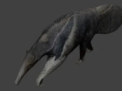Giant anteater Low-poly 3D model