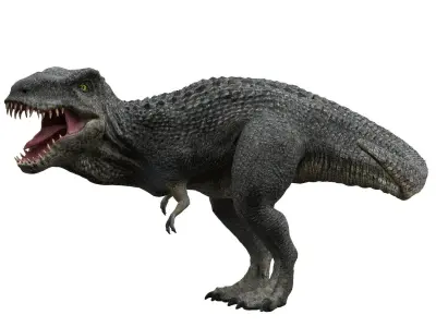 Tyrannosaurus rex 3D model 3D model