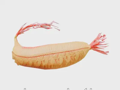 Giant Tube Worm Model with Red Plume Low-poly 3D model