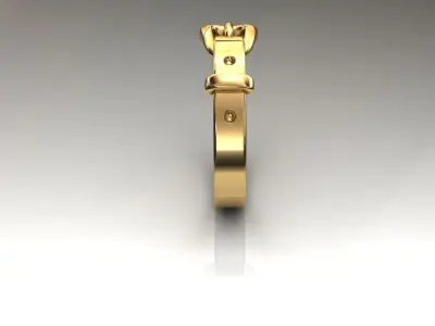 Belt Ring 3D  3D print model