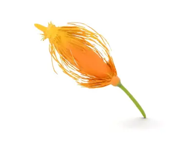 Vivid Yellow Flower model pack Low-poly 3D model