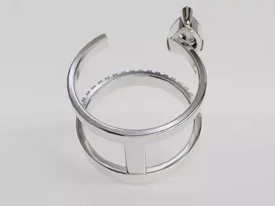 Double ring 3D print model