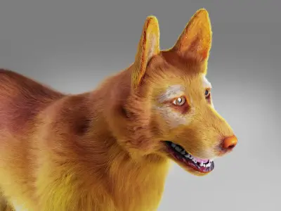 Fur Red Dog No Rigged Low-poly 3D model