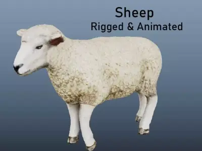 Sheep Animated VFX Grace Low-poly 3D model