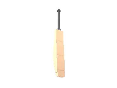 Voxel Cricket Bat v1 002 Low-poly 3D model
