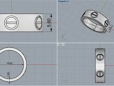 Ring model 566 3D print model